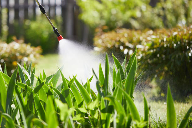 24/7 Emergency Wasp Removal experts in Milford, MI