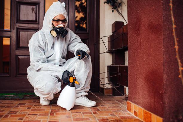 Reliable Wasp Removal contractor in Milford, MI by Show Me Pest Control