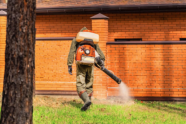 Top rated local Wasp Removal specialists in Milford, MI